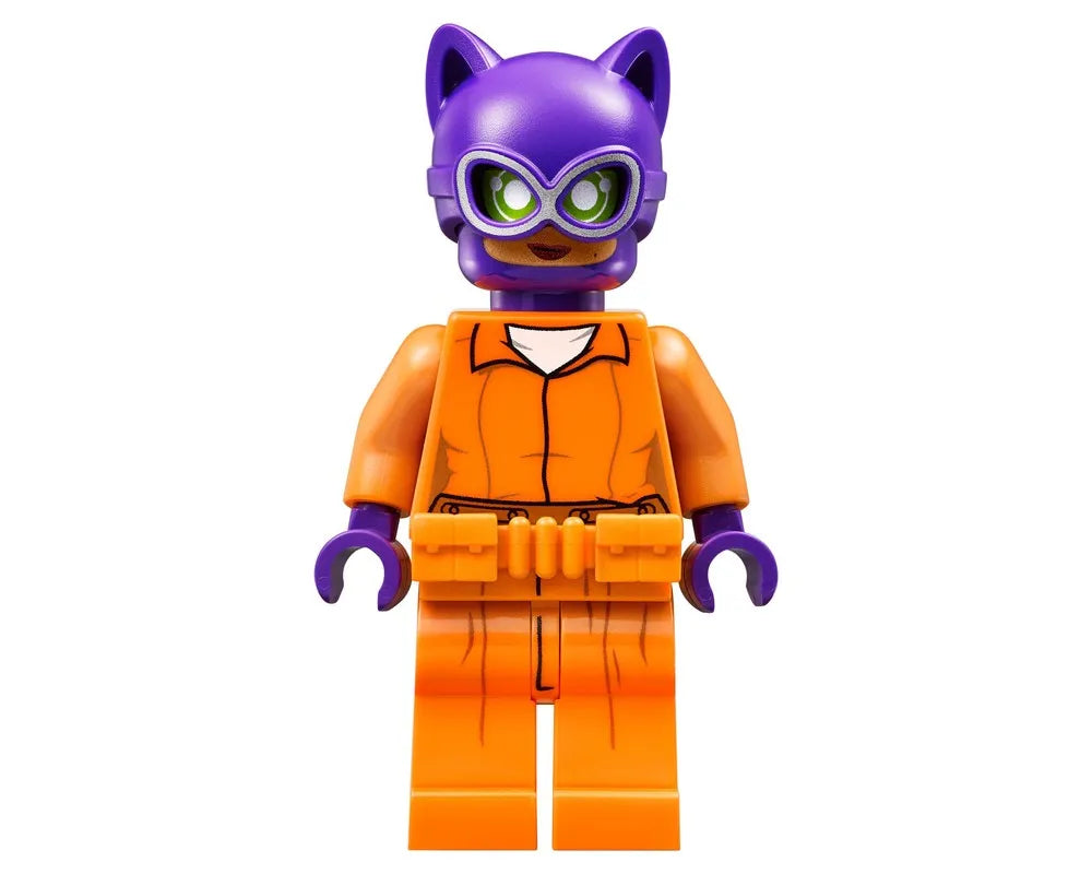 LEGO Super Heroes 70912 - Arkham Asylum - Authentic LEGO Set Image 20