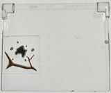 LEGO 60603pb019 Glass for Window 1 x 4 x 3 - Opening with Dark Brown Cracks and Dark Bluish Gray Mud Spots Pattern (Sticker) - Set 70424 - Main Product Image