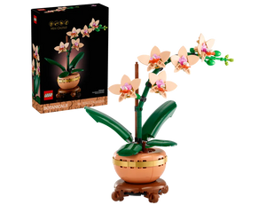 LEGO Botanicals 10343 - Mini Orchid - Authentic LEGO Set Main Image