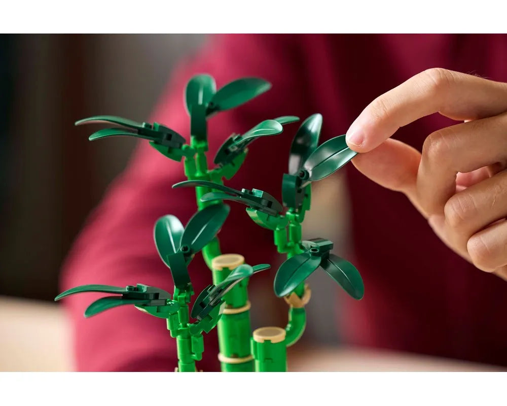 LEGO Botanicals 10344 - Lucky Bamboo - Authentic LEGO Set Image 6