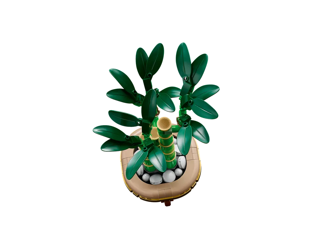 LEGO Botanicals 10344 - Lucky Bamboo - Authentic LEGO Set Image 3