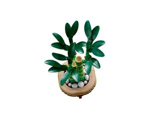 LEGO Botanicals 10344 - Lucky Bamboo - Authentic LEGO Set Image 3