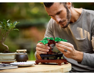 LEGO Botanicals 10281 - Bonsai Tree - Authentic LEGO Set Image 10