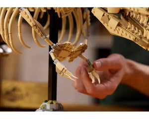 LEGO Jurassic World 76968 - Dinosaur Fossils: Tyrannosaurus rex - Authentic LEGO Set Image 10