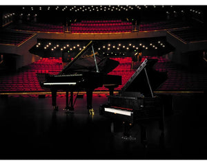 LEGO LEGO Ideas &#40;CUUSOO&#41; 21323 - Grand Piano - Authentic LEGO Set Image 4