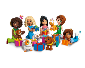 LEGO Friends 42668 - Advent Calendar 2025, Friends - Authentic LEGO Set Image 7