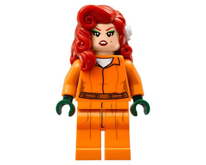 LEGO Super Heroes 70912 - Arkham Asylum - Authentic LEGO Set Image 23