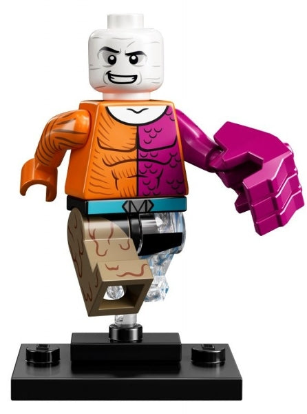 LEGO Collectible Minifigures colsh-12 - colsh Metamorpho, DC Super Heroes (Complete Set with Stand and Accessories) - Authentic LEGO Set Main Image