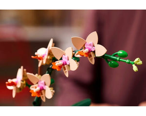 LEGO Botanicals 10343 - Mini Orchid - Authentic LEGO Set Image 7