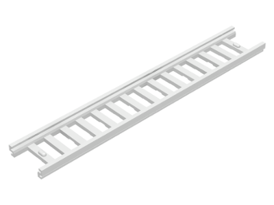 White ladder with 15 rungs, measuring 16 x 2 1/2, on a white background.