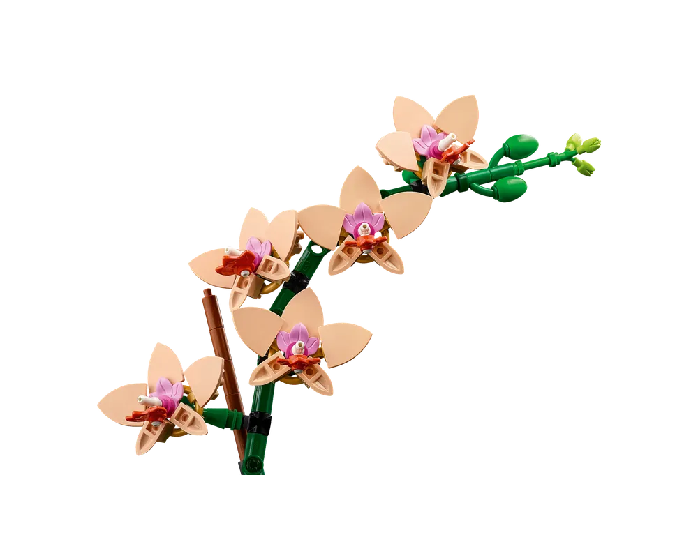 LEGO Botanicals 10343 - Mini Orchid - Authentic LEGO Set Image 5