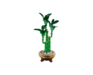 LEGO Botanicals 10344 - Lucky Bamboo - Authentic LEGO Set Image 4