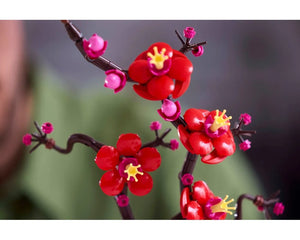 LEGO Botanicals 10369 - Plum Blossom - Authentic LEGO Set Image 6