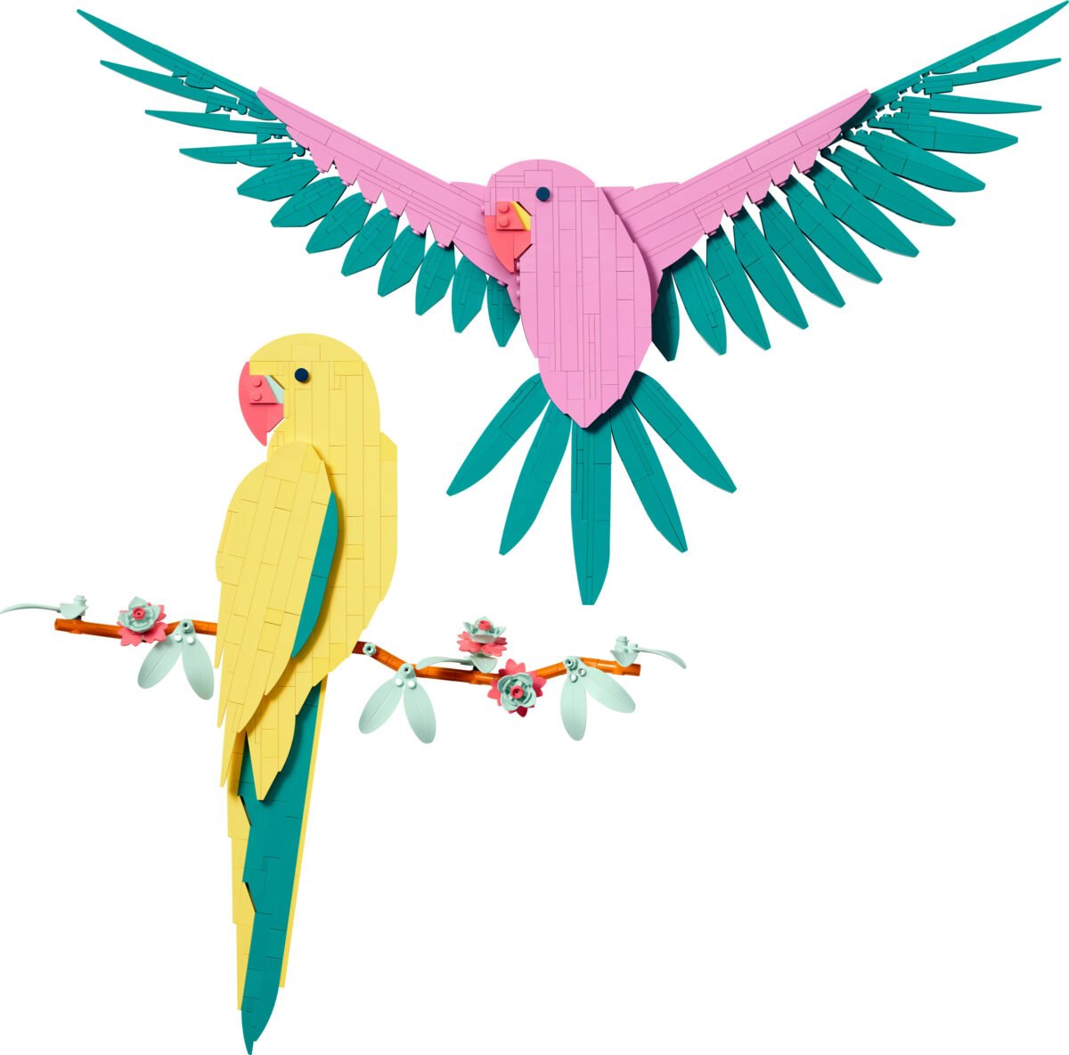 LEGO 31211-1 - The Fauna Collection - Macaw Parrots - Afbeelding 2